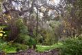 Property photo of 1 Horsell Road Belair SA 5052