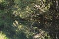 Property photo of 25 Smyth Road Howard Springs NT 0835