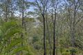 Property photo of 10 Lohmann Court Canungra QLD 4275