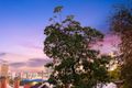 Property photo of 7/323 Stirling Street Highgate WA 6003