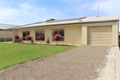 Property photo of 100 South Avenue Bordertown SA 5268