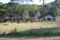 Property photo of 7 Benjamin Close Tumbi Umbi NSW 2261