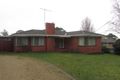 Property photo of 16 Berberis Crescent Frankston VIC 3199