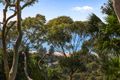 Property photo of 6/5A Wollombi Road Bilgola Plateau NSW 2107
