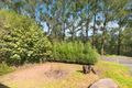 Property photo of 19 Rankins Road Monbulk VIC 3793