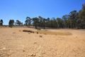 Property photo of 276 Stuart Mill Road Dunolly VIC 3472