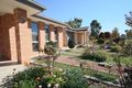 Property photo of 9 Joan Long Street Franklin ACT 2913