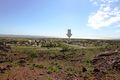 Property photo of 8 Walcott Way Bulgarra WA 6714
