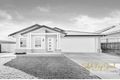 Property photo of 58 Arrowtail Street Chisholm NSW 2322