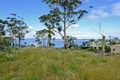 Property photo of 15 Connellys Marsh Road Connellys Marsh TAS 7173