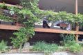 Property photo of 270 Alpine Way Crackenback NSW 2627