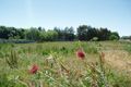 Property photo of 140 Petersham Road Leeton NSW 2705