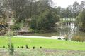 Property photo of 5 Bankside Avenue Earlwood NSW 2206