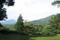 Property photo of 2-4 Barron Gorge Road Caravonica QLD 4878