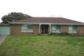 Property photo of 91 Cootamundra Avenue Capel Sound VIC 3940