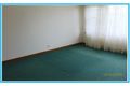 Property photo of 12 Cuthbert Avenue Highton VIC 3216