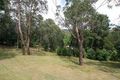 Property photo of 8 Maple Avenue Belgrave VIC 3160