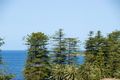 Property photo of 10/65-67 Ewos Parade Cronulla NSW 2230
