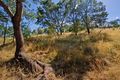 Property photo of 86 Panorama Road Blackstone Heights TAS 7250