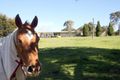 Property photo of 72 Carters Road Lake Munmorah NSW 2259