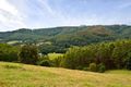 Property photo of 470 Middle Creek Road Federal QLD 4568