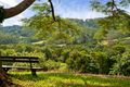 Property photo of 470 Middle Creek Road Federal QLD 4568