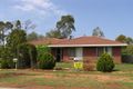 Property photo of 17 Hass Street Oakey QLD 4401