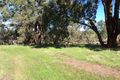 Property photo of 900/2 Squarcini Close Bailup WA 6082