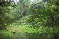 Property photo of 19R Zena Close Cape Tribulation QLD 4873