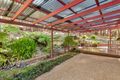 Property photo of 32 Fig Tree Drive Beerwah QLD 4519