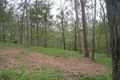 Property photo of 7 Illoura Grove Karana Downs QLD 4306