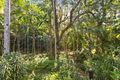 Property photo of 778 Currumbin Creek Road Currumbin Valley QLD 4223