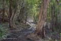 Property photo of LOT 1 Golden Valley Road Cygnet TAS 7112