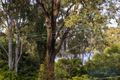 Property photo of 19 Tarcoola Street St Lucia QLD 4067