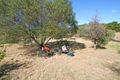 Property photo of 7 Mealla Way Bungendore NSW 2621