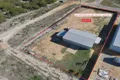 Property photo of Barracuda Drive Leeman WA 6514
