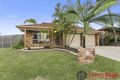 Property photo of 56 Torquay Crescent Tingalpa QLD 4173