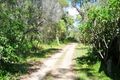 Property photo of 45 Dillon Road Captain Creek QLD 4677
