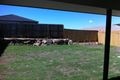 Property photo of 22 Ballow Crescent Redbank Plains QLD 4301