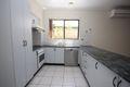 Property photo of 50 Chamberlain Road Bexley NSW 2207