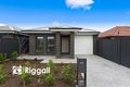 Property photo of 23 Alvis Road Croydon Park SA 5008