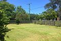 Property photo of 15 Rosebed Street Eudlo QLD 4554