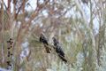 Property photo of 1130 Playford Highway Cygnet River SA 5223