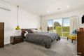 Property photo of 14 Sonia Street Ringwood VIC 3134
