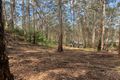 Property photo of 8 Adams Road Denmark WA 6333
