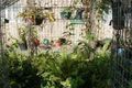 Property photo of 92 Macdonnell Road Margate QLD 4019
