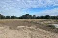 Property photo of LOT 12 Tullagrie Road Tara QLD 4421