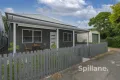 Property photo of 17 Power Street Islington NSW 2296