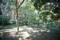 Property photo of 2 Willow Place Mullumbimby NSW 2482