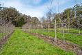 Property photo of 378 Deviation Road Forest Range SA 5139